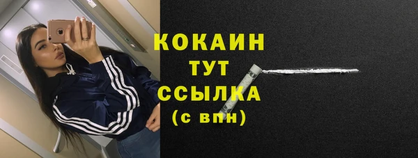 стафф Богданович