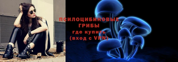 стафф Богданович