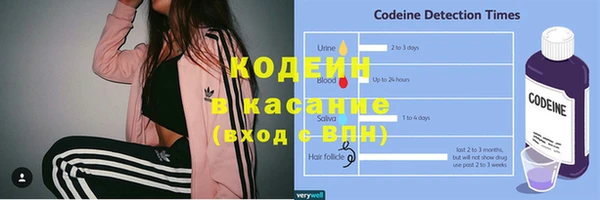стафф Богданович