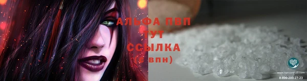 стафф Богданович
